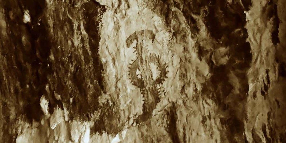 43950004_1078775255631079_1924271319998791680_o