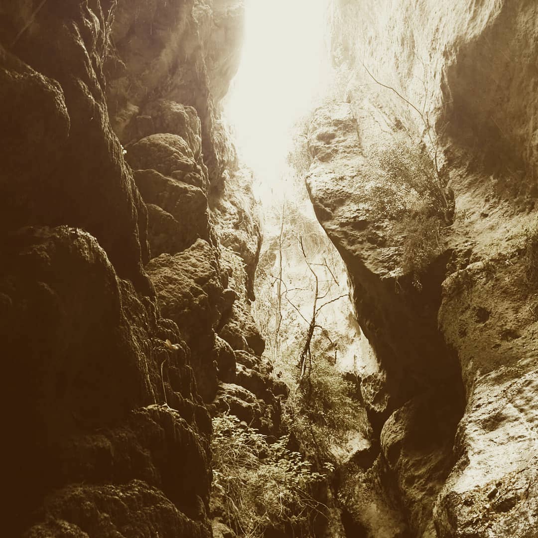 49118491_1128980990610505_2531064132073947136_o