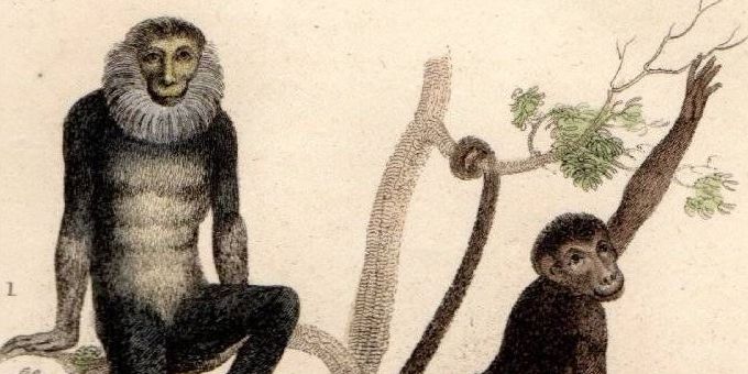 dc3955a83c273b5d061d4b00337a1ac4