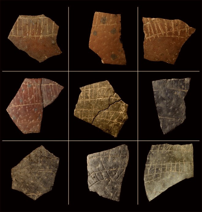 ostrich_egg_shells-660x691