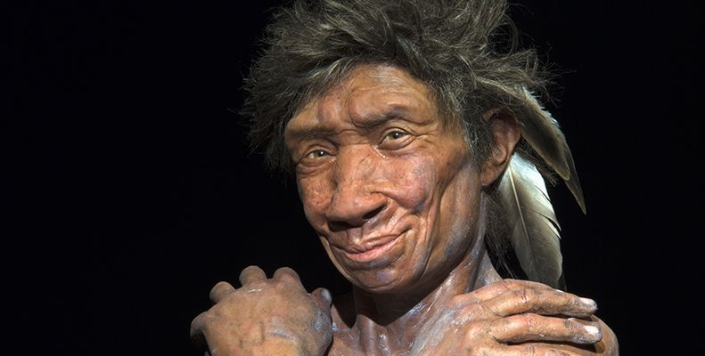 d41586-019-00445-x_16430046