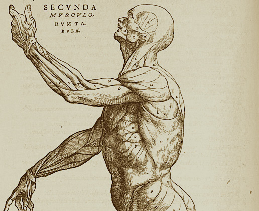 Un libro de Andrés Vesalio en alta resolución – 🐚 Der Golem